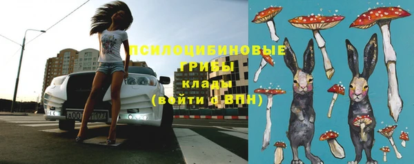 ПСИЛОЦИБИНОВЫЕ ГРИБЫ Баксан