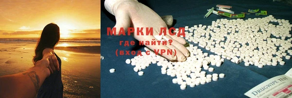 ПСИЛОЦИБИНОВЫЕ ГРИБЫ Баксан