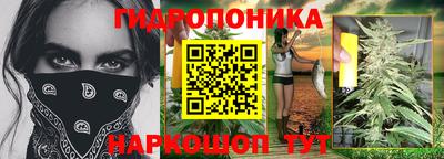индика Пыть-Ях