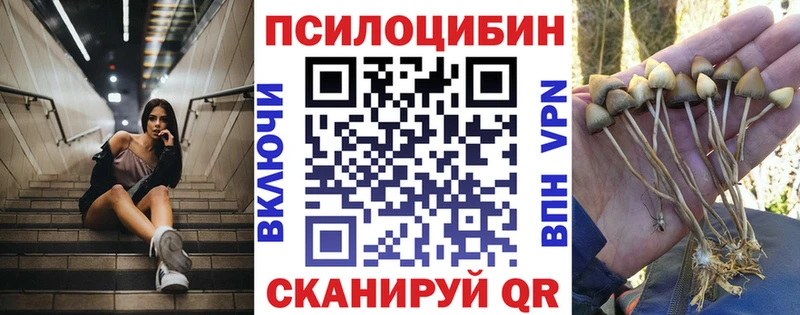 Галлюциногенные грибы Cubensis  Соль-Илецк 